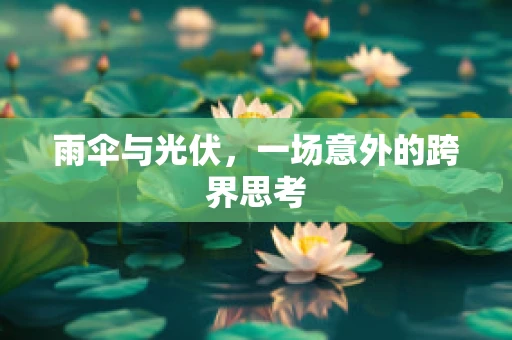 雨伞与光伏，一场意外的跨界思考