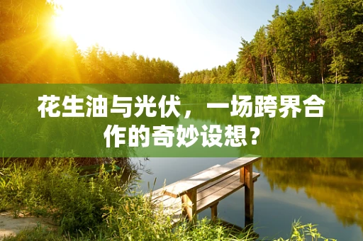 花生油与光伏，一场跨界合作的奇妙设想？