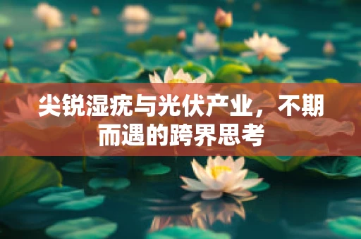 尖锐湿疣与光伏产业，不期而遇的跨界思考