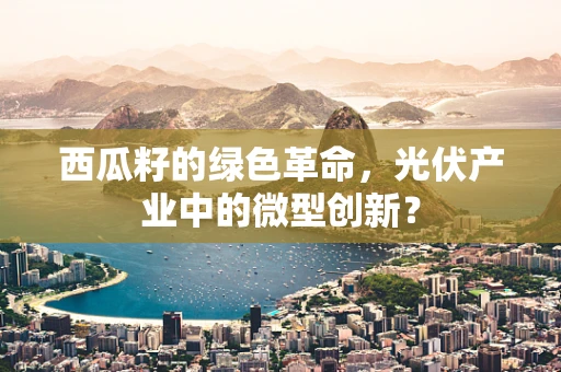 西瓜籽的绿色革命，光伏产业中的微型创新？