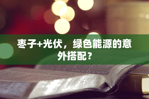 枣子+光伏，绿色能源的意外搭配？