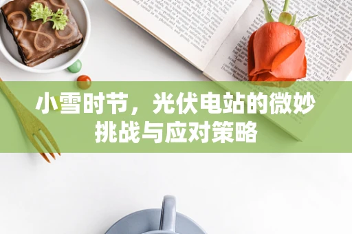 小雪时节，光伏电站的微妙挑战与应对策略