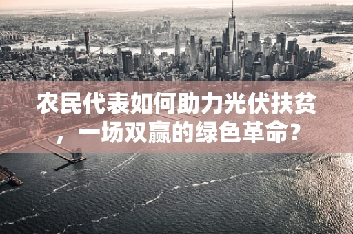 农民代表如何助力光伏扶贫，一场双赢的绿色革命？