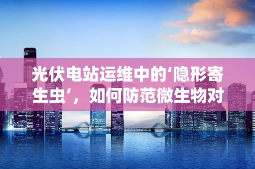 光伏电站运维中的‘隐形寄生虫’，如何防范微生物对设备的潜在影响？