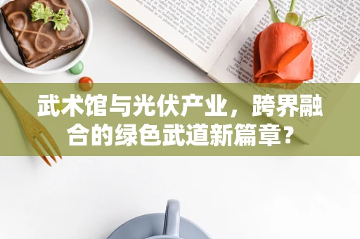 武术馆与光伏产业，跨界融合的绿色武道新篇章？
