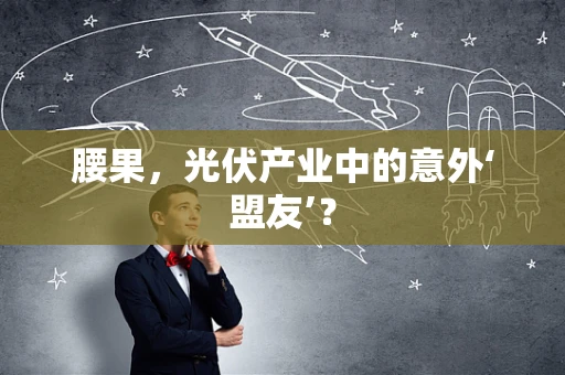腰果，光伏产业中的意外‘盟友’？
