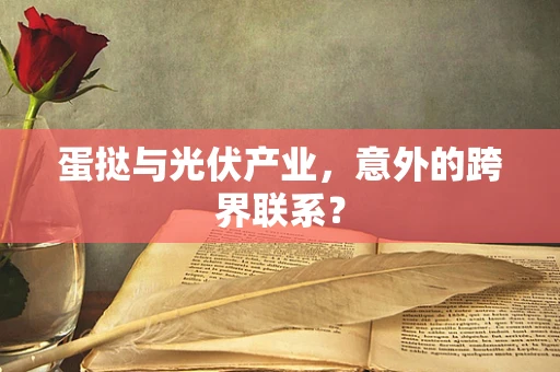蛋挞与光伏产业，意外的跨界联系？