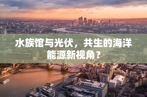 水族馆与光伏，共生的海洋能源新视角？
