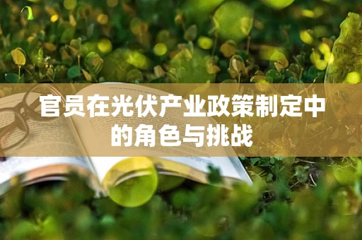 官员在光伏产业政策制定中的角色与挑战