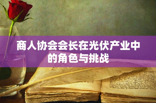 商人协会会长在光伏产业中的角色与挑战