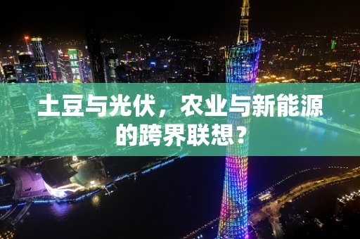 土豆与光伏，农业与新能源的跨界联想？