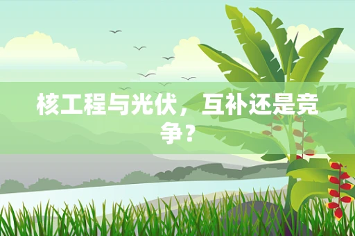 核工程与光伏，互补还是竞争？