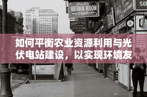 如何平衡农业资源利用与光伏电站建设，以实现环境友好型发展？