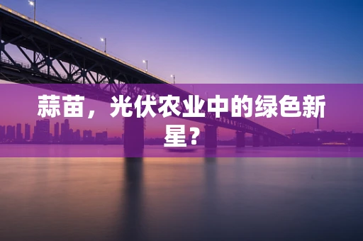 蒜苗，光伏农业中的绿色新星？