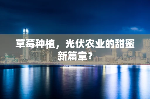 草莓种植，光伏农业的甜蜜新篇章？