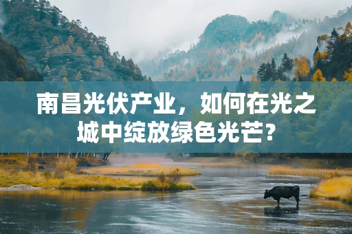 南昌光伏产业，如何在光之城中绽放绿色光芒？