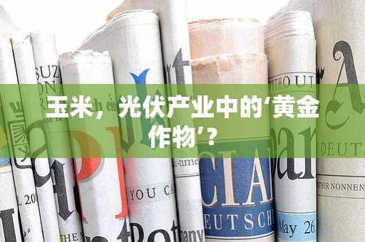 玉米，光伏产业中的‘黄金作物’？