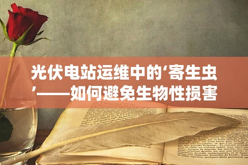 光伏电站运维中的‘寄生虫’——如何避免生物性损害？