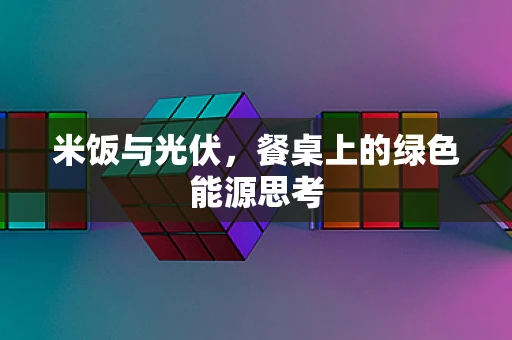 米饭与光伏，餐桌上的绿色能源思考