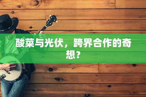 酸菜与光伏，跨界合作的奇想？