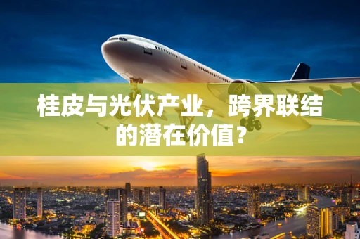 桂皮与光伏产业，跨界联结的潜在价值？