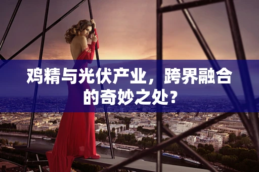 鸡精与光伏产业，跨界融合的奇妙之处？