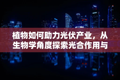 植物如何助力光伏产业，从生物学角度探索光合作用与太阳能利用的奇妙联系