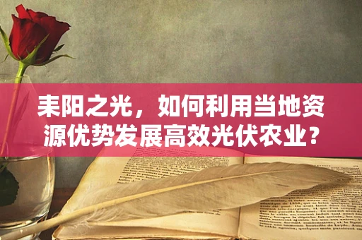 耒阳之光，如何利用当地资源优势发展高效光伏农业？