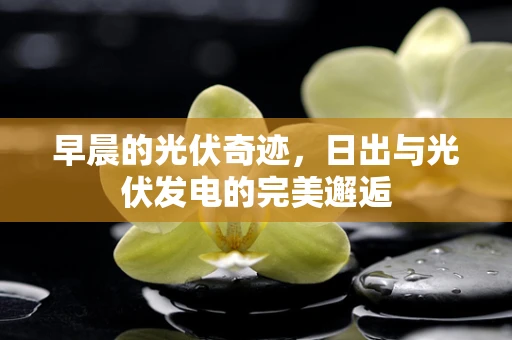 早晨的光伏奇迹，日出与光伏发电的完美邂逅