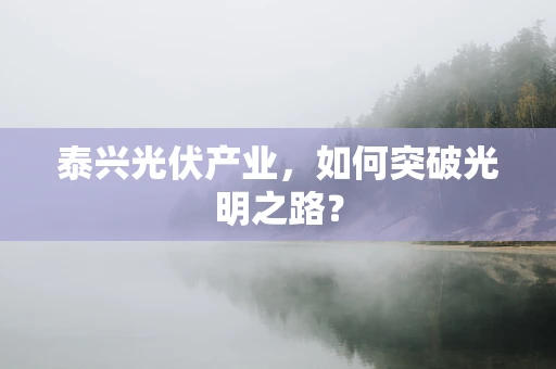 泰兴光伏产业，如何突破光明之路？