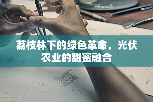 荔枝林下的绿色革命，光伏农业的甜蜜融合