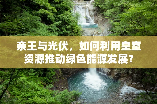 亲王与光伏，如何利用皇室资源推动绿色能源发展？