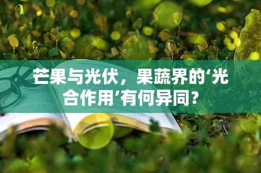芒果与光伏，果蔬界的‘光合作用’有何异同？