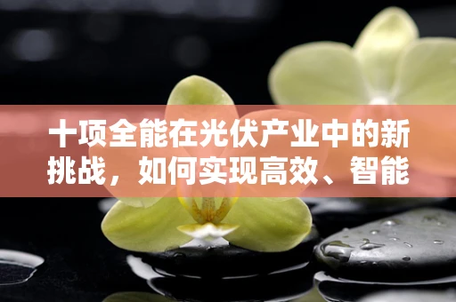 十项全能在光伏产业中的新挑战，如何实现高效、智能、环保的全面升级？