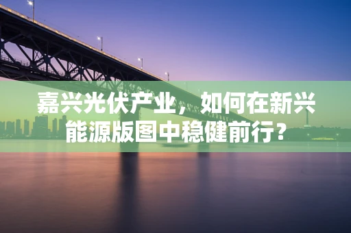 嘉兴光伏产业，如何在新兴能源版图中稳健前行？
