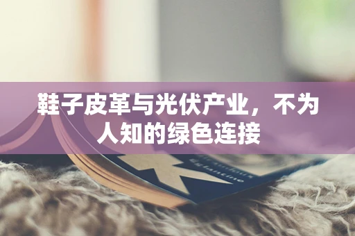 鞋子皮革与光伏产业，不为人知的绿色连接