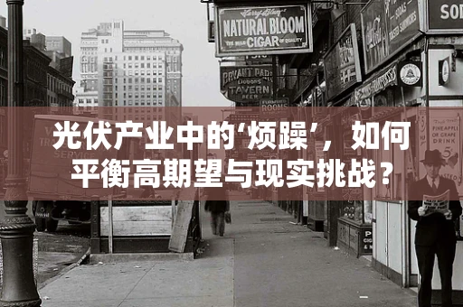光伏产业中的‘烦躁’，如何平衡高期望与现实挑战？